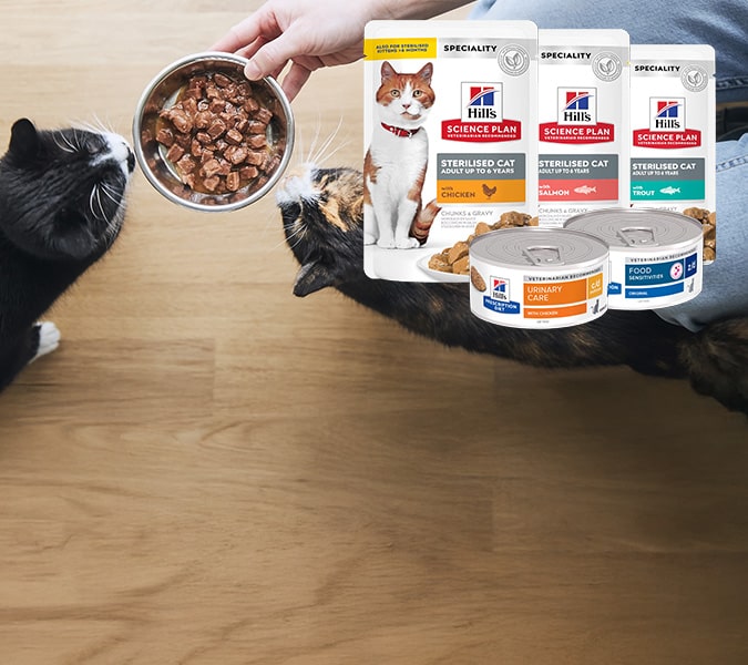 pt banner cat 4 opt 1